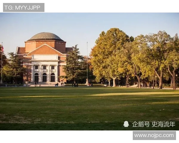 约基奇近5场比赛数据全面分析与表现回顾