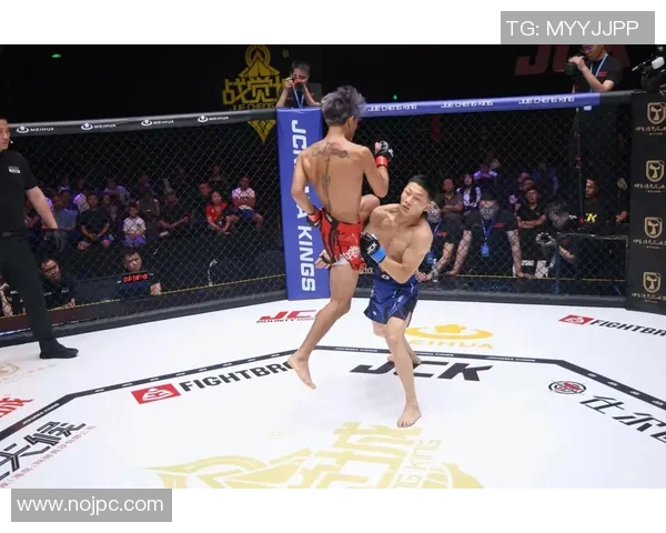 MMA格斗之夜:KO瞬间集锦 MMA格斗之夜:KO瞬间集锦