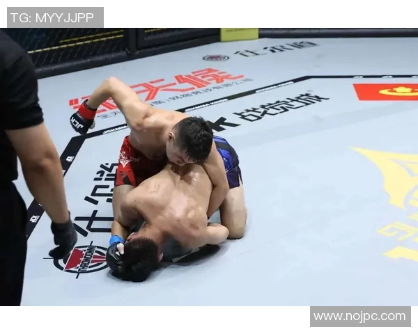 MMA格斗之夜：KO瞬间集锦